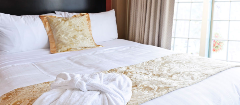 点亮智慧未来的免费测试呼死你